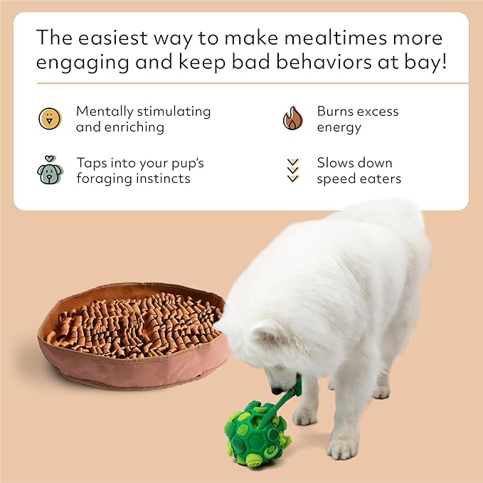 Reggie Enrichment Value Pack for Dogs with Stimulating Feeder Mat and Forager Ball to Relieve Speed Eating, Boredom, Stress | Vet-Approved & Ideal for All Ages, Dog Breeds, and Sizes