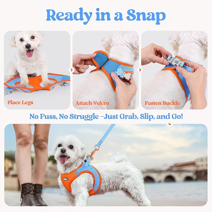 rabbitgoo Dog Harness Small Sized and Leash Set, Step in Soft Light Puppy Vest, Breathable Mesh Pet Harness, Reflective for Safe Easy Walking, Blue & Orange S