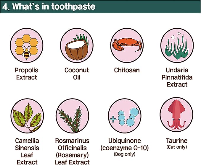 Cat Toothbrush & Toothpaste Kit – Flavor-Free Dental Gel for Cats – Finger Brush & Handle for Daily Oral Care – Plaque & Tartar Cleaning for Kittens and Adult Cats (1 Pack, 3 Count)