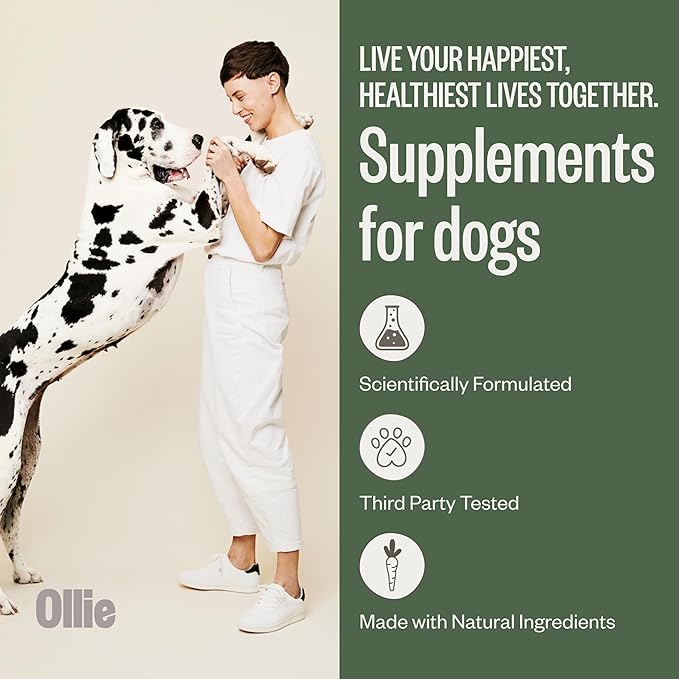 Ollie Belly Rubs, Probiotic Dog Chews, Digestive Health, Natural Ingredients, for Upset Stomach Relief, Appx. 60 Count