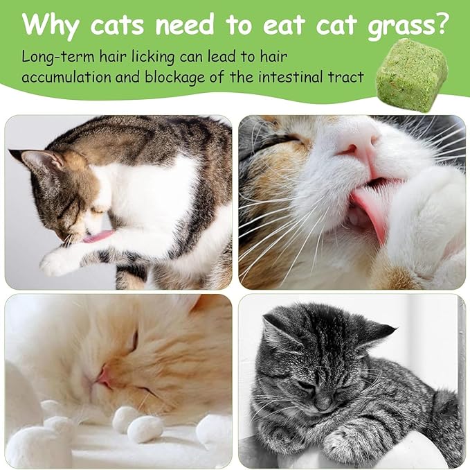 HavenJanny 120g Freezed Drying Cat Grass Treats for Cats, Cat Grass Teething Stick Snacks for Cats Hairball Removal and Teeth Cleaning
