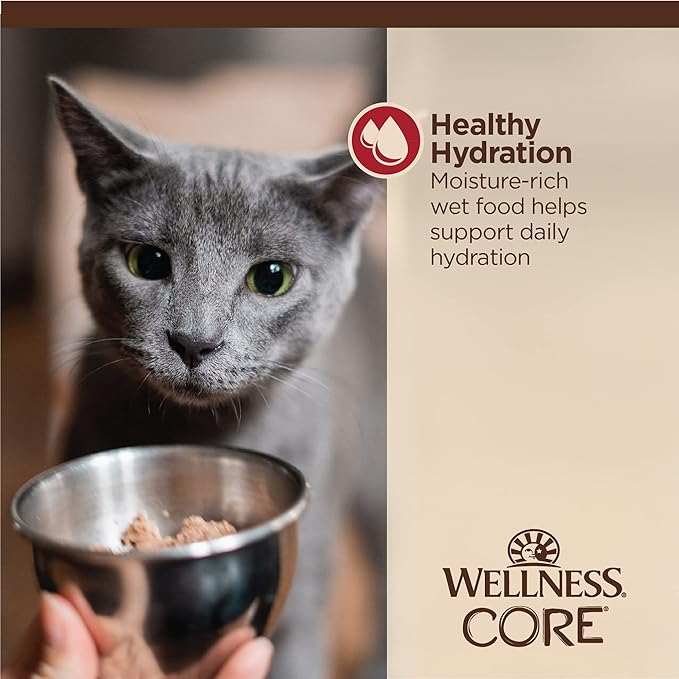 Wellness CORE Tiny Tasters Minced Adult Wet Cat Food, Natural, Protein-Rich, Grain Free, 1.75-Ounce Pouch, 12 Pack, (Chicken & Beef)