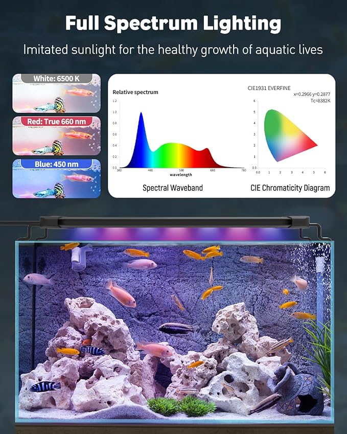 Pawfly 5 Gallon Fish Tank Ultra Clear Rimless Glass Aquarium Kit with Extendable LED Light Internal Filter Magnetic Brush & Thermometer Stickers Rectangular Glass Fish Tank Kit for Betta Shrimp Plants