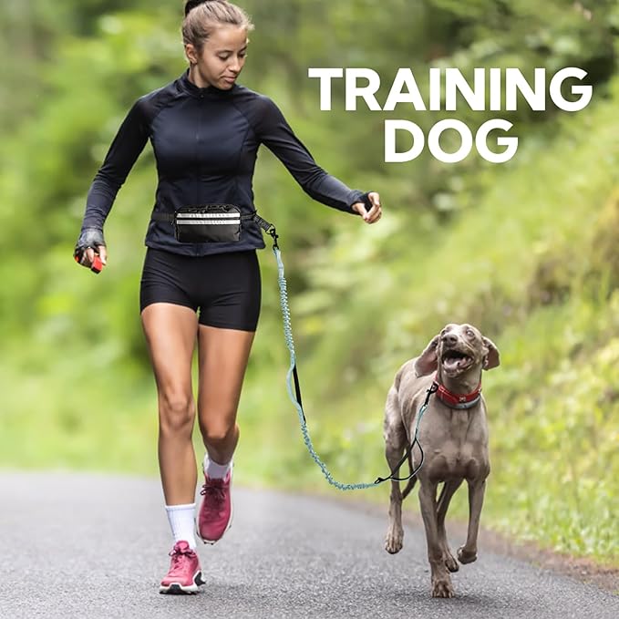 Hands Free Dog Leash with Pouch, Adjustable Waist Belt with Double Padded Handles, Waist Leash for Dog Walking, Dog Leash with Bungee for Medium & Large Dog, Dog Walking Accessories, Olive