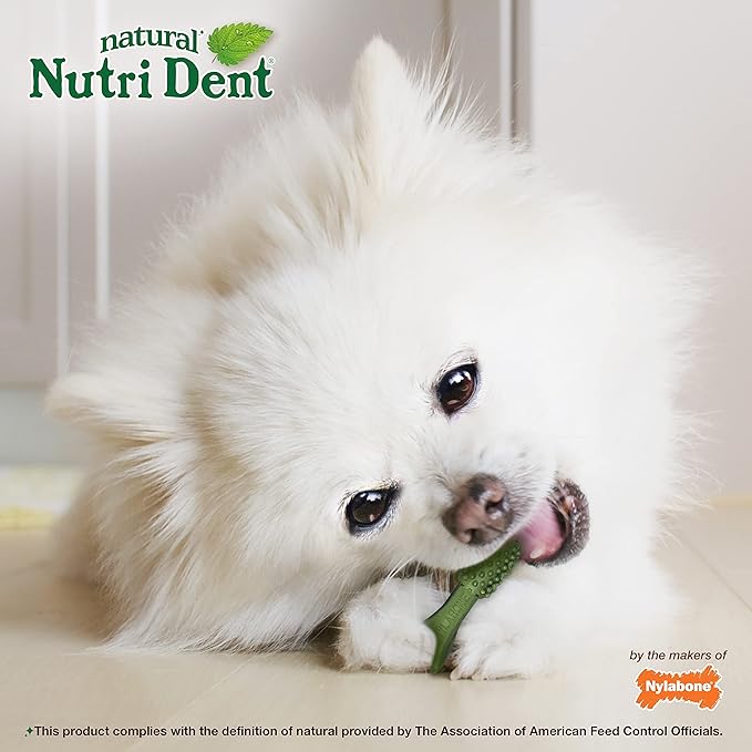 Nylabone Nutri Dent Dog Dental Chews - Natural Dog Teeth Cleaning & Breath Freshener - Dental Treats for Dogs - Fresh Breath Flavor, Mini (160 Count)
