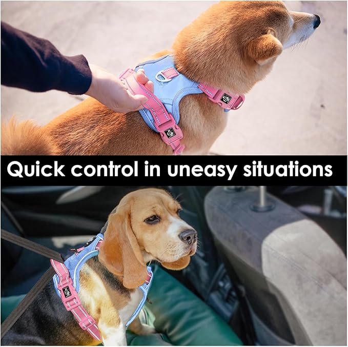 PHOEPET No Pull Dog Harness, Unique Colors Reflective Adjustable Dog Vest, with Soft Training Handle Metal Clips for Small Medium Large Dogs (Baby Blue Base & Pink Straps,L)