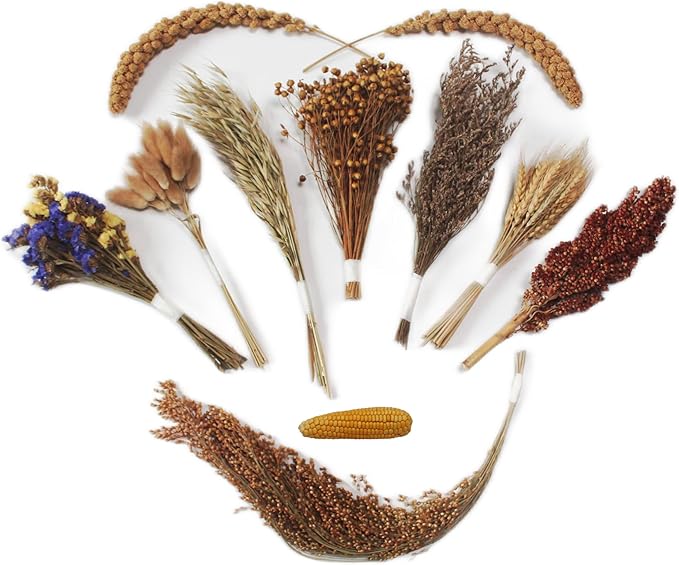 Natural Hamster Bedding - Flowers, Herbs, Sprays, Treat Cereal Grain for Cage Habitat Enclosure Decor - Hamster Chews for Dwarf Syrian Gerbils, Mice, Rat Forage - Pet Accessories