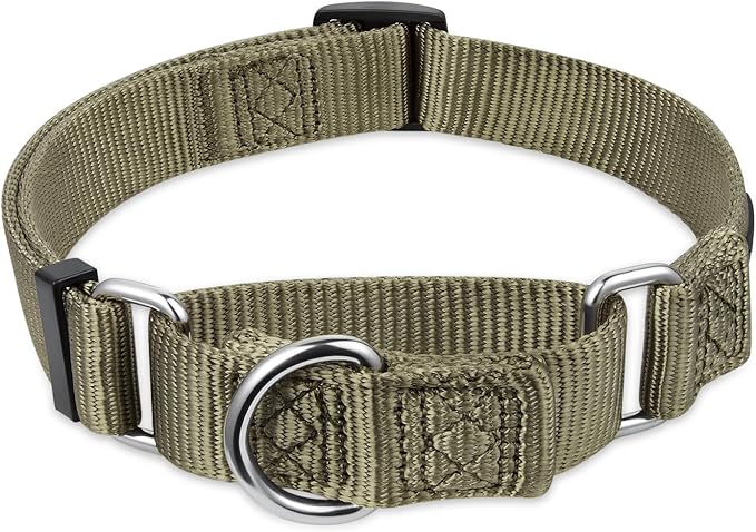 Premium Upgraded Durable Nylon Anti-Escape Martingale Dog Collar for Medium Boy and Girl Dogs Comfy and Safe - Walking, Professional Training, Daily Use. (Medium, Military Green)