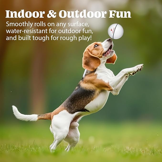 Wicked Ball - Smart Interactive Dog Ball for Solo Play - Electronic Self-Moving Dog Toys for Boredom - Rechargeable, Motion Activated - 35"