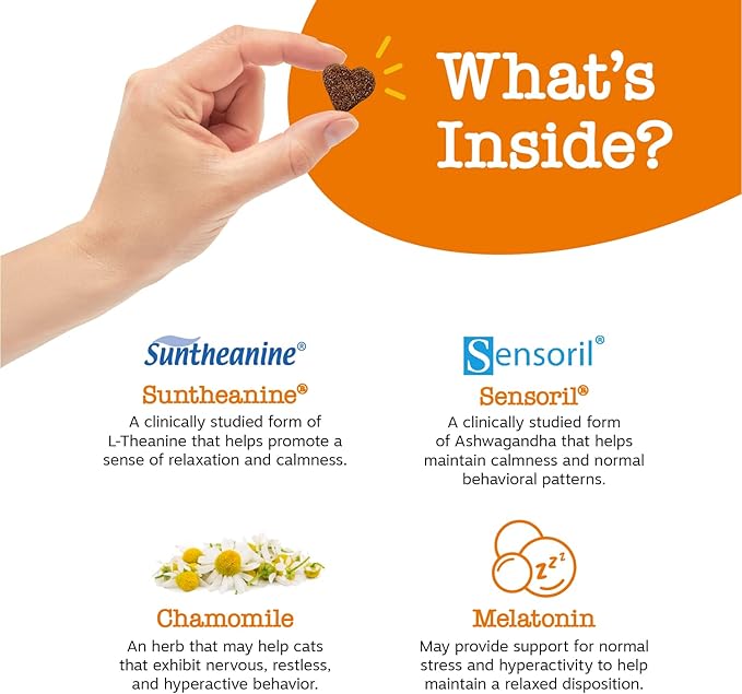 Zesty Paws Calming Chews for Cats - Composure & Relaxation for Everyday Stress & Separation - with Ashwagandha, Organic Chamomile, L-Theanine & L-Tryptophan – Bacon - 60 Count - Cat