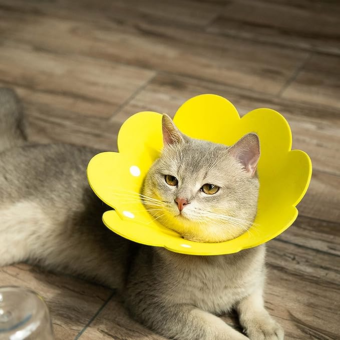 3-Pack Cat Recovery Collar - Sunflower Neck Cone, Anti-Licking, Prevents Biting & Scratching (Pink, Orange, Yellow) (M)