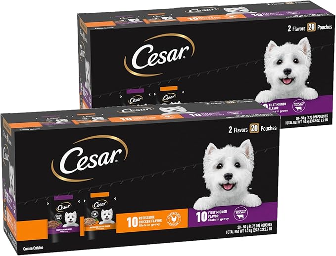 Cesar Filets in Gravy Wet Dog Food Filet Mignon Flavor and Rotisserie Chicken Flavor Variety Pack, 1.76 oz. Mini-Pouches (20 Count, Pack of 2)