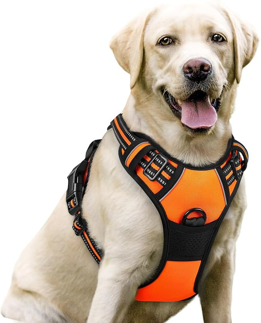 rabbitgoo Dog Harness No Pull with 2 Leash Clips, Adjustable Soft Padded, Reflective Oxford No Choke Pet Vest with Easy Control Handle for Large Dogs,Orange,L