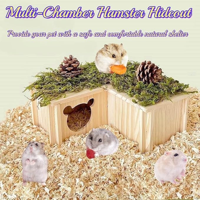 Natural Wooden Hamster House Hideout Multi-Chamber Hamster Maze Tunnel Detachable Small Pet House Habitats Exploring Toys for Dwarf Hamster, Hedgehog, Rats, Gerbils, Mice, Guinea Pigs