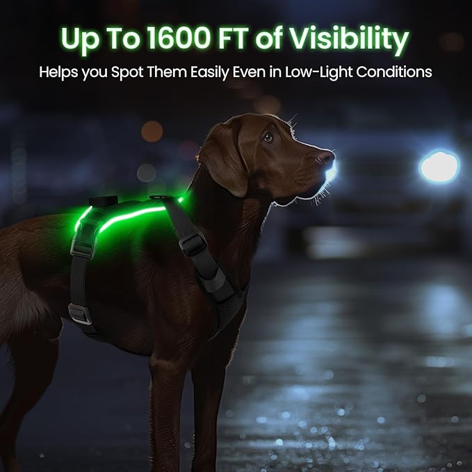 Light Up Dog Harness,Reflective Pet Harness Rechargeable,Led Dog Vest Harness for Night Walking,Adjustable Dog Safety Vest for Small Medium Large Dogs-No Pull,Black,XL