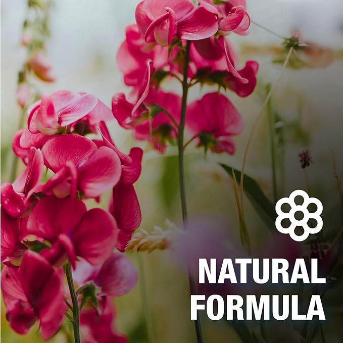 CoreTex Bug X FR DEET-Free Insect Repellent Wipes - Pack of 100 Single-Use, Naturally Derived Geranium Oil Bug Wipes - Protects Against Flies, Fleas & Mosquitoes - Travel Mosquito Repellent Towelettes