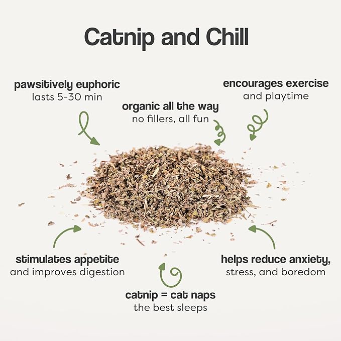 Organic Catnip for Cats & Kittens – 1.76 oz Premium Natural Catnip, High Potency Blend for Playtime, Training, and Stress Relief, 2 Cups of Dried Cat Nip Leaves