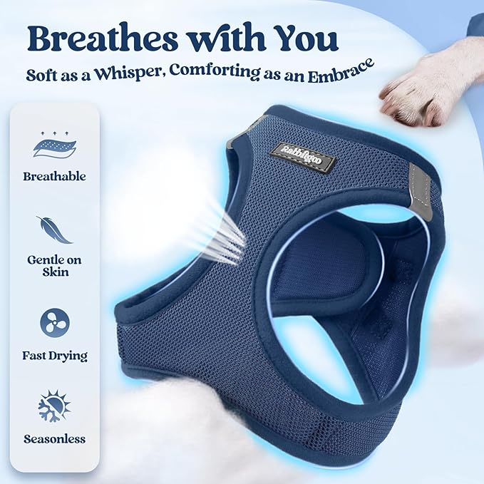rabbitgoo Dog Harness Small Sized and Leash Set, Step in Soft Light Puppy Vest, Breathable Mesh Pet Harness, Reflective for Safe Outdoor Walking, Navy Blue XXS