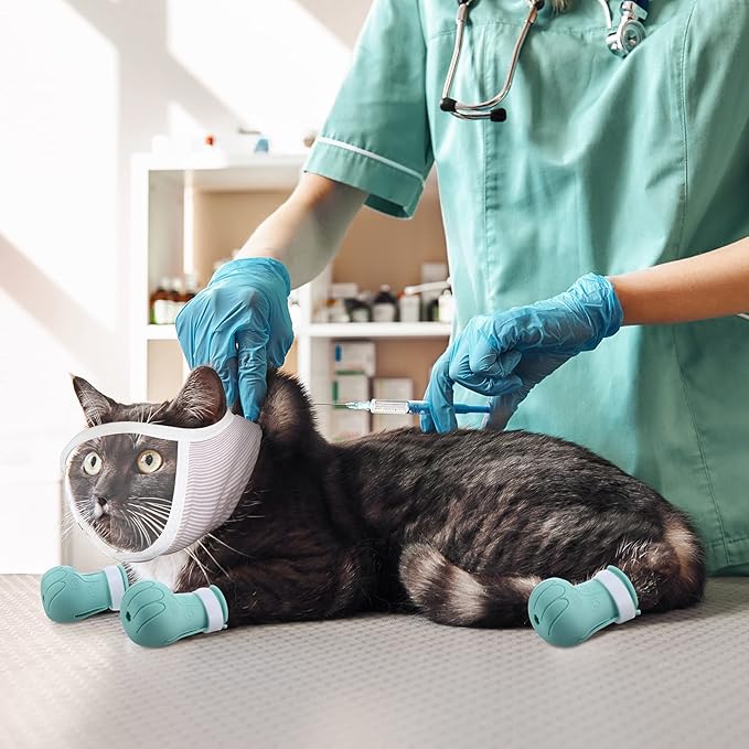 Hillban Cat Muzzle for Grooming with 4 Silicone Boots Breathable Transparent Face Guard Silicone Cat Claw Covers Anti Scratch Booties to Prevent Scratching Biting Bathing Trimming(Small)