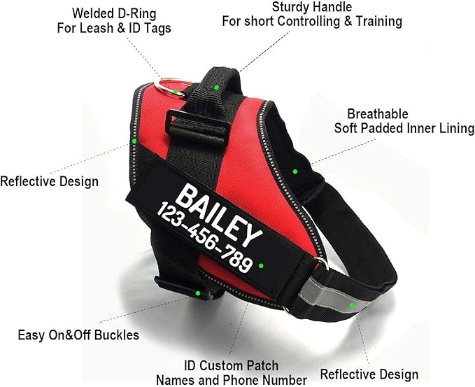 PawPawify Custom No Pull Dog Harness with Name and Phone Number, Heavy Duty Personalized Pet Vest to Prevent Tugging, Pulling, or Choking, Training and Walking (Blue, XXL (85-140 LBS))