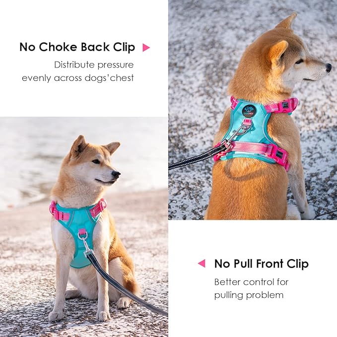 PHOEPET No Pull Dog Harness, Unique Colors Reflective Adjustable Dog Vest, with Soft Training Handle Metal Clips for Small Medium Large Dogs (Mint Green Base & Pink Straps,XS)