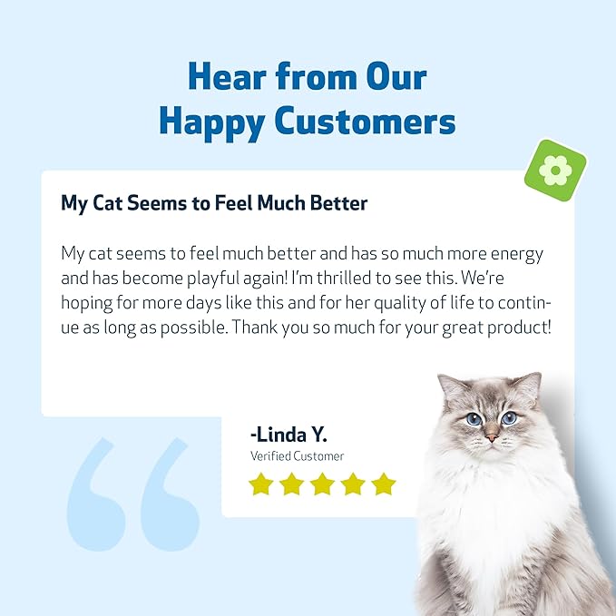 Life Gold for Cats - Supports Detoxification & Healthy Immune Defenses, Astragalus, Burdock, Sheep Sorrel - Pet Wellbeing Vet-Formulated Holistic Supplement – 2 oz (59 ml)