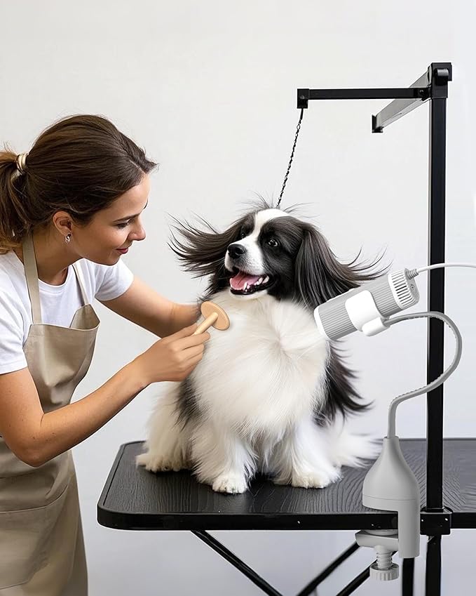 L&W BROS. 2-in-1 Pet Hair Dryer with Clamp Stand – Wearable & Hands-Free Dog Grooming Dryer, 950W Low Noise Blower with 5 Heat & 3 Speed Settings, for Small to Medium Pets (gray)