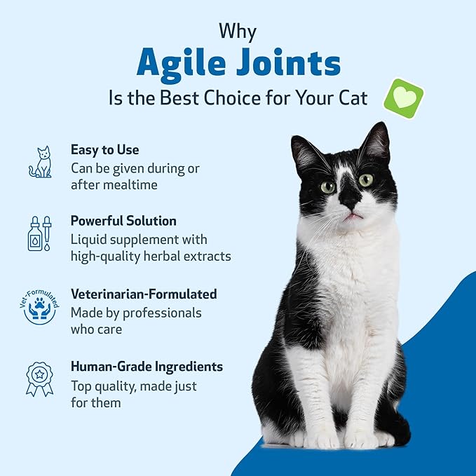Pet Wellbeing Agile Joints for Cats - Veterinarian-Formulated - Hip and Joint Health, Mobility, Devil’s Claw, Boswellia, Joint Ligament and Cartilage - Herbal Supplement 4 oz (118 ml)