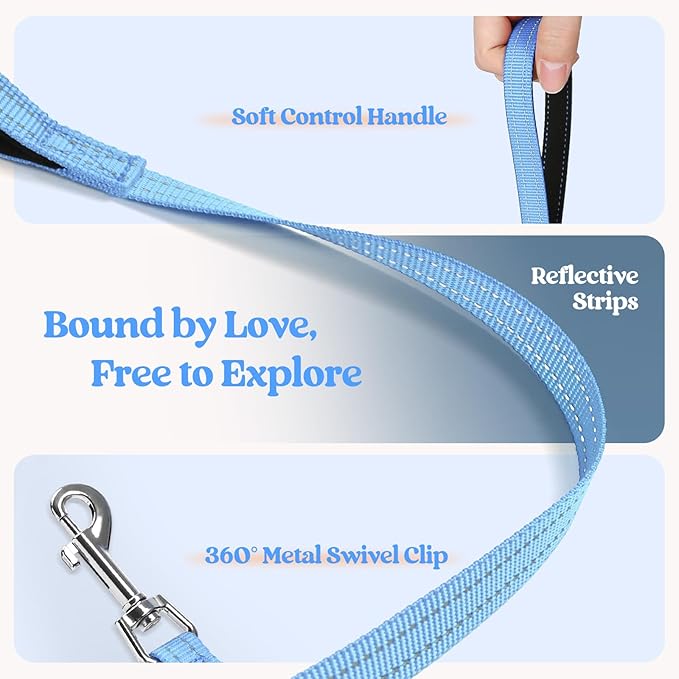 rabbitgoo Dog Harness Small Medium Sized and Leash Set, Step in Soft Light Puppy Vest, Breathable Mesh Pet Harness, Reflective for Safe Easy Walking, Blue & Orange XL