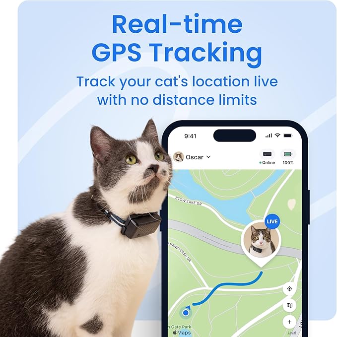 Tractive Smart Cat GPS Tracker | Real-Time Location & Wellness Monitoring for Cats 6.5 lbs+ | Territory & Location History | Up to 5-Day Battery | Breakaway Collar Included (Mint)