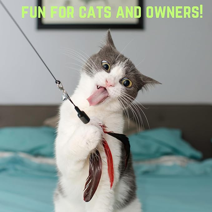 Smokey's Stash Interactive Cat Toy Wand 2pc Cat Fishing Pole Cat Toy for Indoor Cats with Feather and Funny Toy Refills to Drive Kittens Crazy