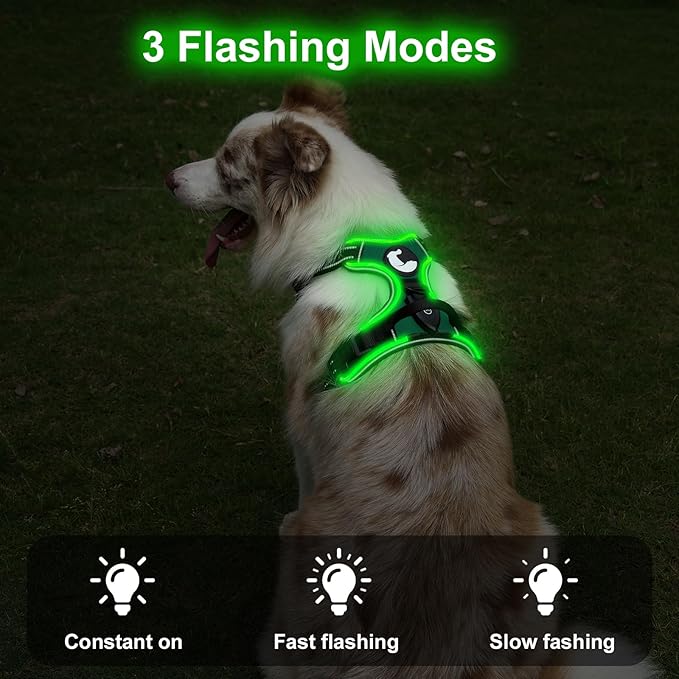 Taglory Light Up Dog Harness, Rechargeable No Pull Dog Vest with 3 Lightning Modes, Reflective Dog Harness with 2 Leash Clips & 4 Adjustable Slide Strips for Small Dogs, Turquoise-Green, S