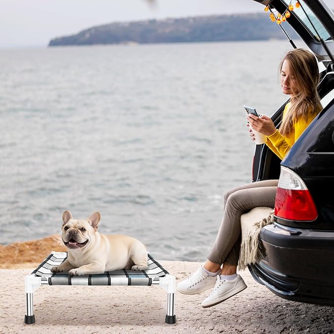 Elevated Outdoor Raised Dog Bed Outdoor Dogs Bed Lifted Pet Bed Dog Cot for Pet Taste Life, Start with A Pet Bed 20'' x 20'' x 6.5''