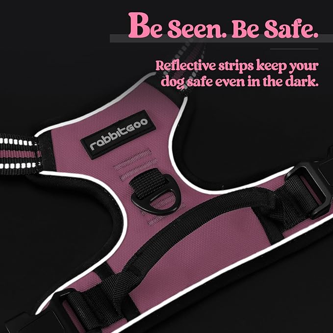rabbitgoo Dog Harness No Pull with 2 Leash Clips, Adjustable Soft Padded, Reflective Oxford No Choke Pet Vest with Easy Control Handle for Medium Sized Dogs, Pink, M