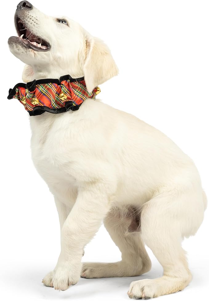 Huxley & Kent Ruff Pet Scrunchy | Shiny Christmas Plaid (Extra-Small) | Festive Christmas/Holiday Neckwear for Dogs/Cats | Fun Stretchable Costume Accessory | Soft Collar with Bells