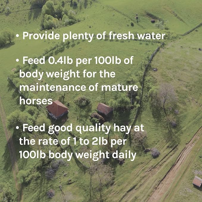 New Country Organics | Elite Horse Feed for Horses Under The Stresses of Competition and Travel | Corn-Free and Soy-Free | 14% Protein | Certified Organic and Non-GMO | Grain & Oats Feeder 40 lbs