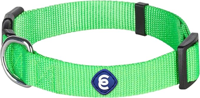Blueberry Pet Essentials X-Small Dog Collar in Neon Green | Adjustable & Eco-Friendly Durable Nylon Strap | Classic Collar for X-Small Dogs, Boy & Girl Pets
