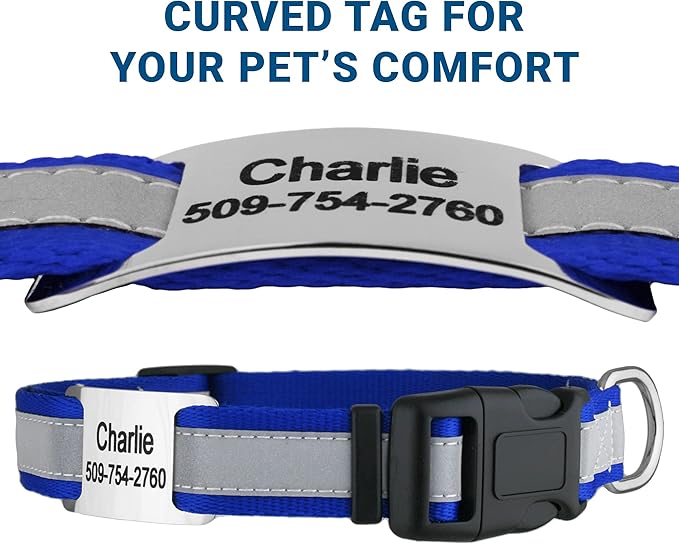 GoTags Reflective Personalized Dog Collar with Nameplate, Adjustable Dog Collar with Custom Engraved Steel Slide On Pet ID Tag, Silent, No Noise Dog Tag for Large Medium or Small (Blue, Small)