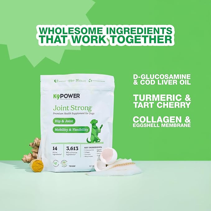 K9 Power Joint Strong Supplement 1 lb - Dog Joint Health & Mobility Support with Glucosamine, Curcumin, Chondroitin, Hip & Joint Pain Relief - Pack of 2