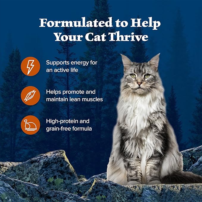 Blue Buffalo Wilderness Wild Delights Meaty Morsels Wet Cat Food, High-Protein & Grain-Free, Made with Natural Ingredients, Chicken & Turkey Recipe in Tasty Gravy, 3-oz. Cans (24 Count)