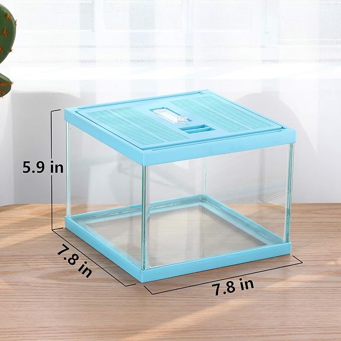 crapelles ReptileTerrarium Color Blue Spider Box, 7.8x7.8x5.9'' Tarantula Container Gecko Habitat Insect Enclosure pet Tank Frog Carrier Snail Hermit Crab House Cricket breeding Geometric Cube Bowl