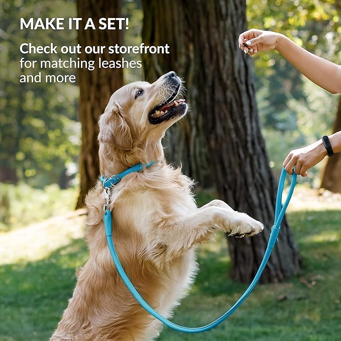 CollarDirect Rolled Leather Dog Collar, Soft Padded Round Puppy Collar, Handmade Genuine Leather Collar Dog Small Large Cat Collars 13 Colors (6-7 Inch, Light Blue)