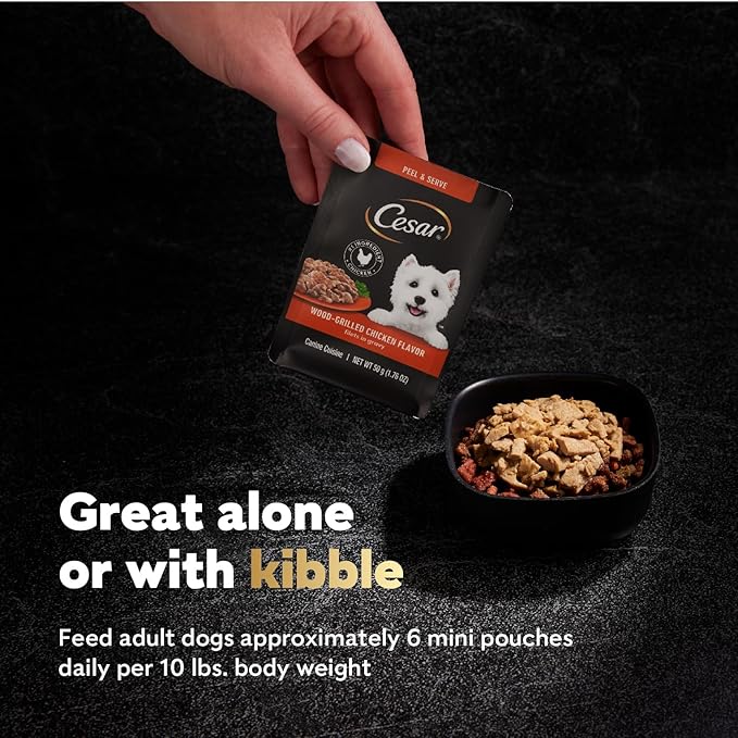 Cesar Filets in Gravy Wet Dog Food Wood-Grilled Chicken Flavor, 1.76 oz. Mini-Pouch (20 Count, Pack of 1)