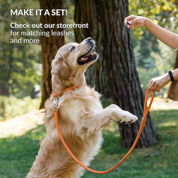 CollarDirect Rolled Leather Dog Collar, Soft Padded Round Puppy Collar, Handmade Genuine Leather Collar Dog Small Large Cat Collars 13 Colors (8-11 Inch, Orange Smooth)