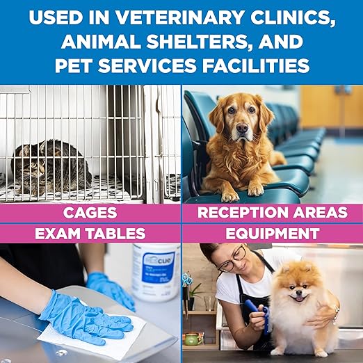 REScue One-Step Disinfectant Cleaner & Deodorizer Wipes for Vet Use – Cleaner for Kennels, Litter Boxes, Vet Offices, Pet Grooming Surfaces, Pet Boarding – Wipes Canister Refill, 160 Count (6 Pack)