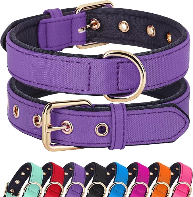 Didog Soft Padded Dog Collars for Medium Dogs, Lightweight and Breathable Purple Dog Collar with Metal Buckle, Purple, L