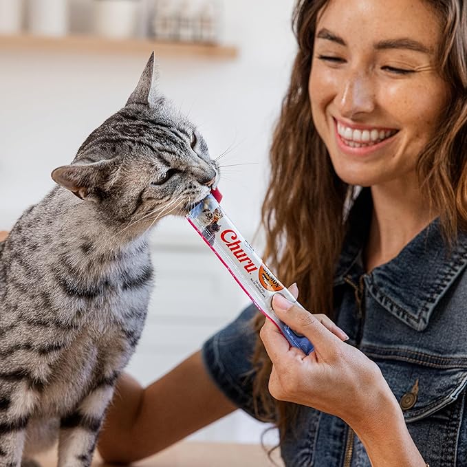 INABA Salmon Churu Cat Treats, Lickable, Squeezable Creamy Purée Cat Treat with Green Tea Extract & Taurine, 0.5 Ounces Each Tube, 24 Tubes (4 per Pack), Salmon Recipe with Scallop Flavor