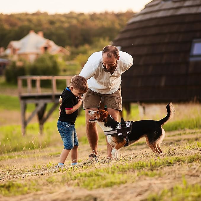 Dogline Dog Harness, Reflective No-Pull Adjustable Vest with Handle for Walking, Training, Breathable, No - Choke Harness for Small, Medium or Large Dogs Room for Patches Leopard Rainbow L 27"-34"