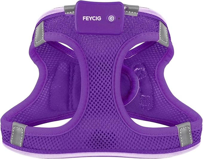 Light Up Dog Harness,Rechargeable LED Dog Harness for Small Medium Large Dogs,Reflective Lighted Safety Vest for Night Walking & Camping,Lightweight & Adjustable,Purple,M