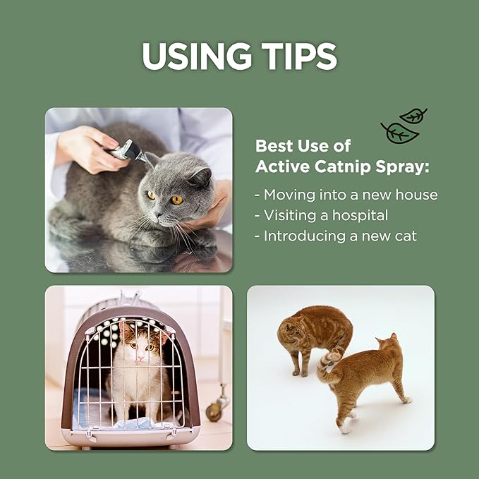 JAYU PET Active Catnip Spray - High Potency Transparent Liquid Spray made of Fresh Organic Catnip for Indoor Cats and Kittens, Relieves Stress, Calming, Revives Toys (1fl oz) (Catnip Spray, 1fl oz)